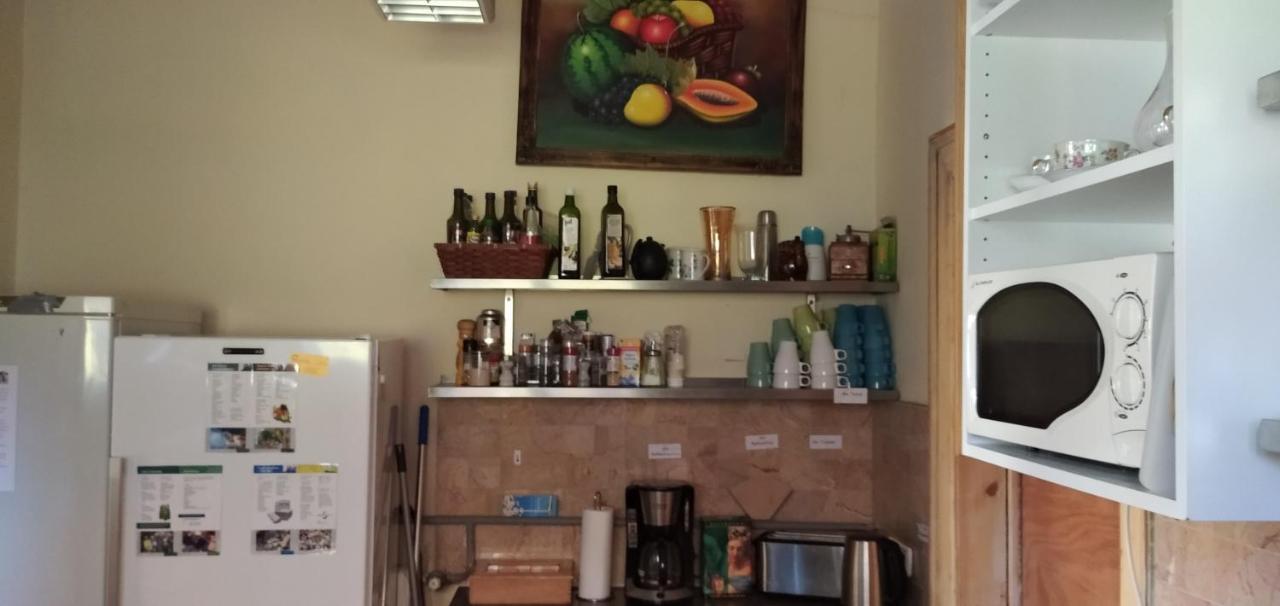 וויימר Hummel Hostel - Historische Stadtvilla Mit Garten מראה חיצוני תמונה